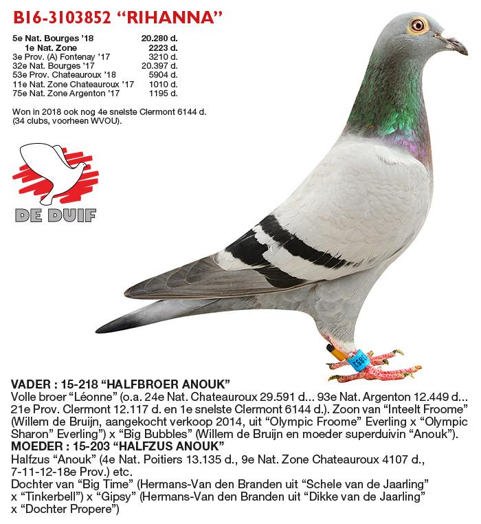 B16-3103852 “Rihanna”