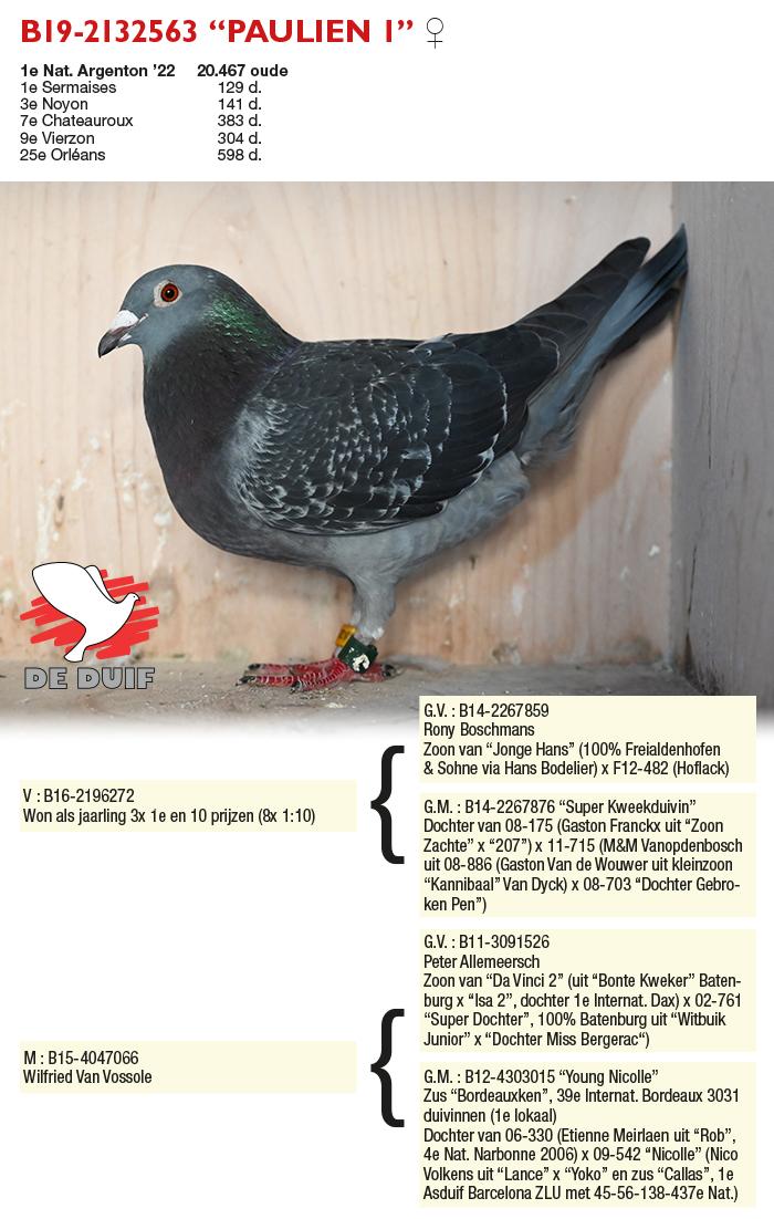 B19-2132563 “PAULIEN 1” B19-2132563 “PAULIEN 1”