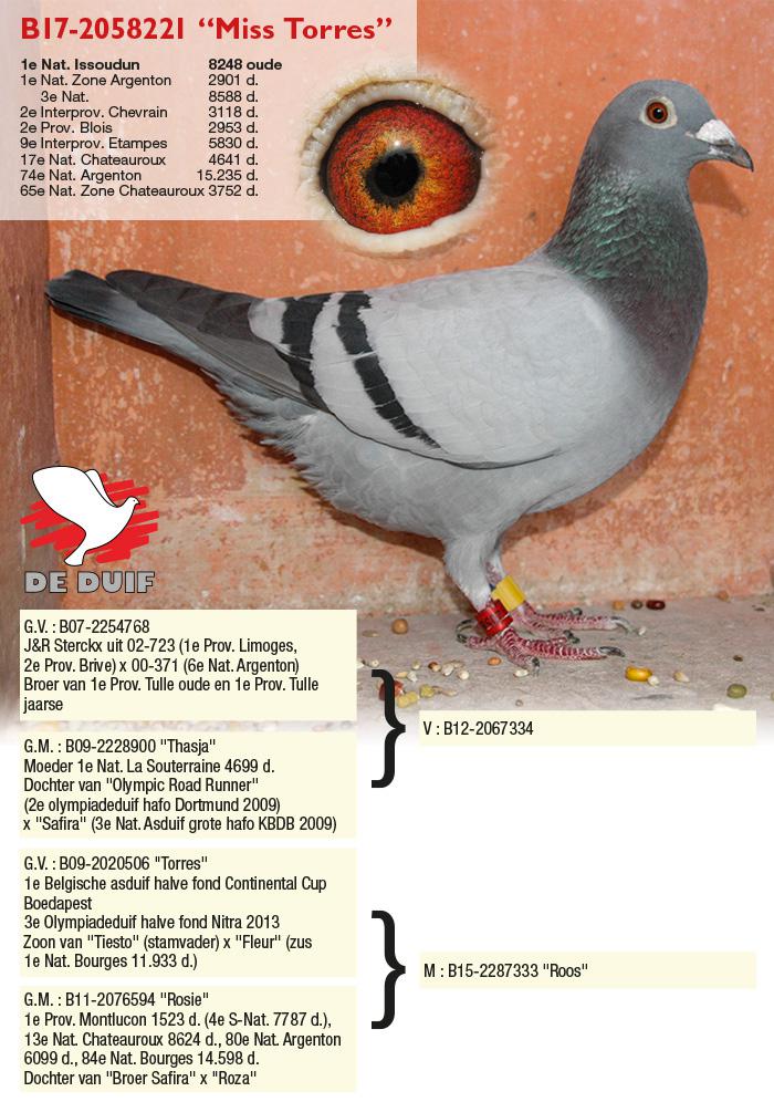 De winnares B17-2058221 “Miss Torres”. De winnares B17-2058221 “Miss Torres”.