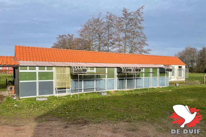 Zicht op de hokken, met vooraan grote volières voor o.a. de jonge duiven en achteraan de kleinere ophangvolières voor de weduwnaars. Zicht op de hokken, met vooraan grote volières voor o.a. de jonge duiven en achteraan de kleinere ophangvolières voor de weduwnaars.