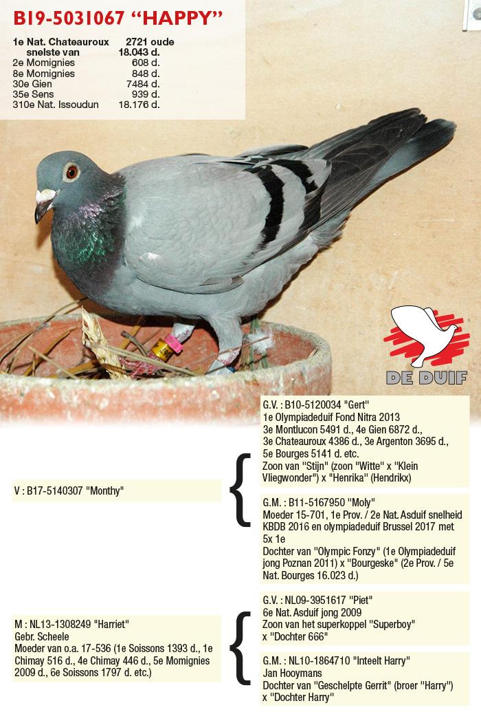 B19-5031067 “Happy”