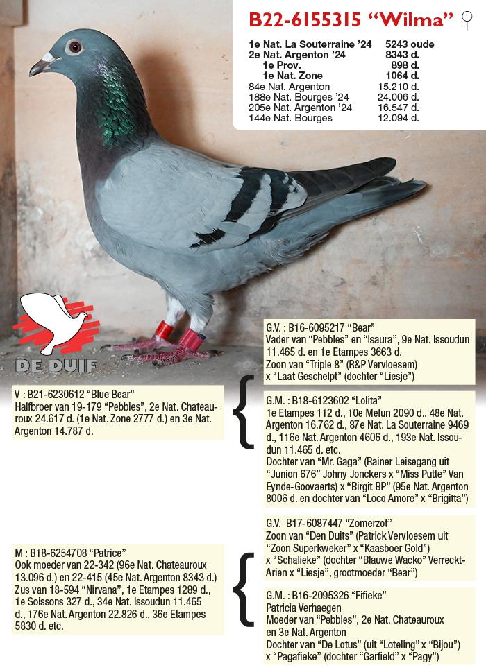 B22-6155315 “Wilma” B22-6155315 “Wilma”