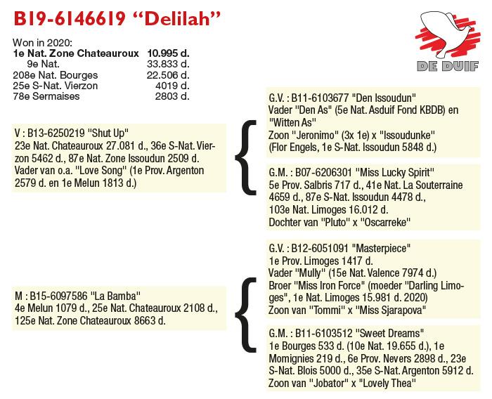 B19-6146619 “Delilah” B19-6146619 “Delilah”