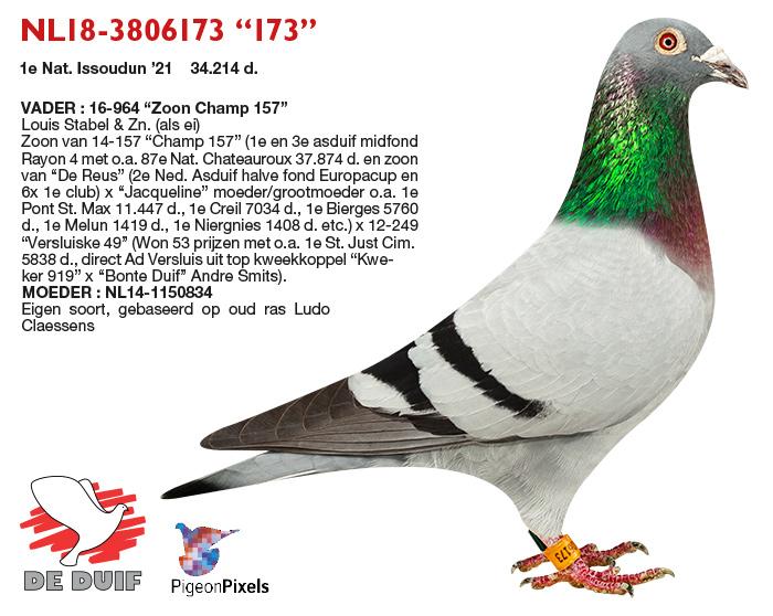NL18-3806173 “173” NL18-3806173 “173”