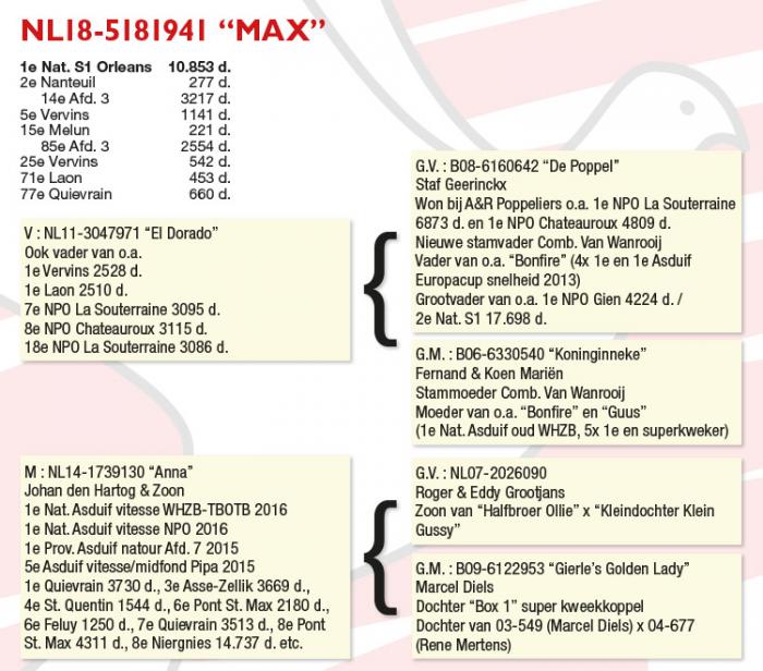 De winnaar NL18-5181941 “Max” De winnaar NL18-5181941 “Max”
