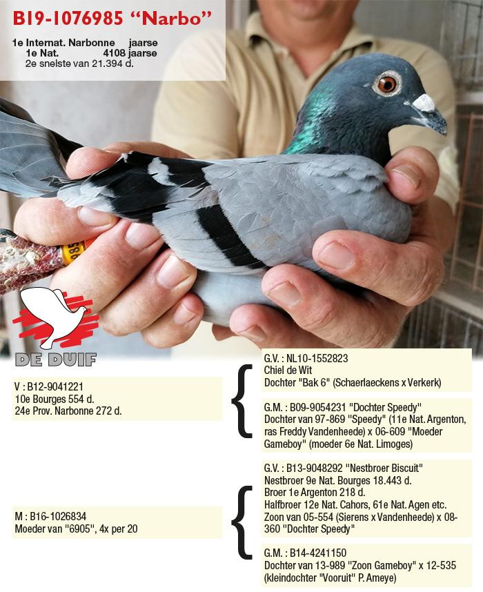 B19-1076985 “Narbo” B19-1076985 “Narbo”