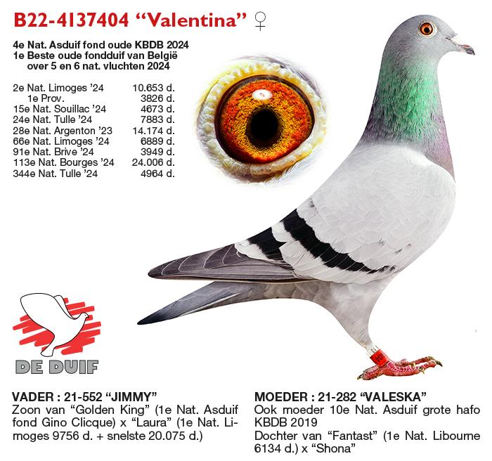 B22-4137404 “Valentina” B22-4137404 “Valentina”