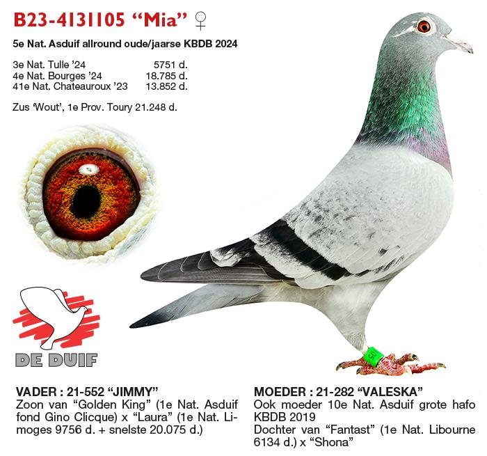B23-4131105 “Mia” B23-4131105 “Mia”
