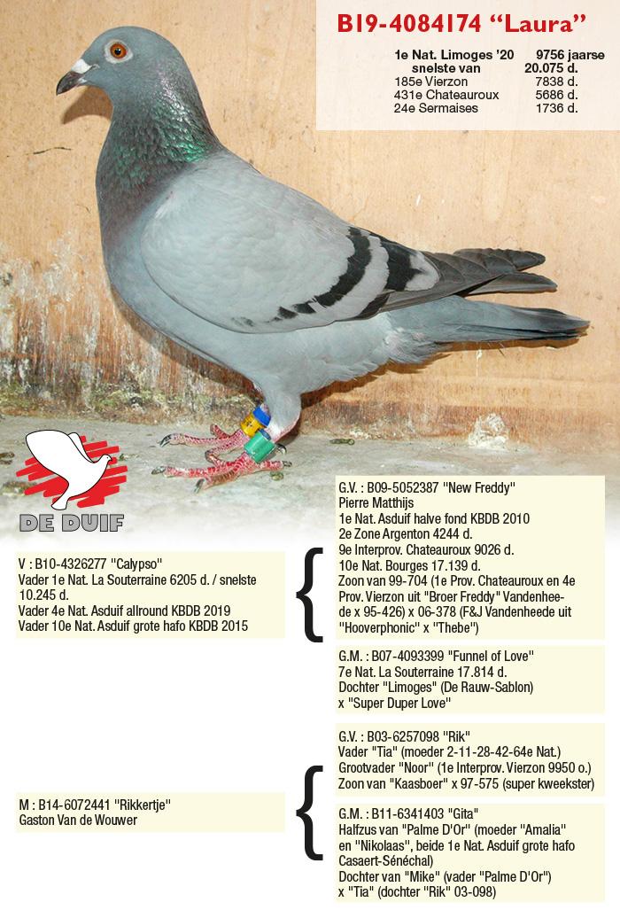 B19-4084174 “Laura”