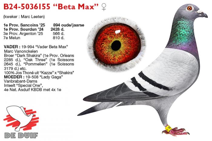 B24-5036155 “Beta Max” B24-5036155 “Beta Max”