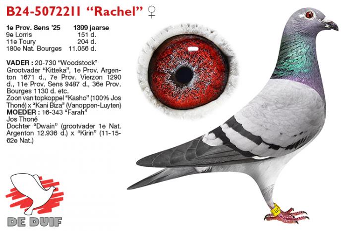 B24-5072211 “Rachel” B24-5072211 “Rachel”