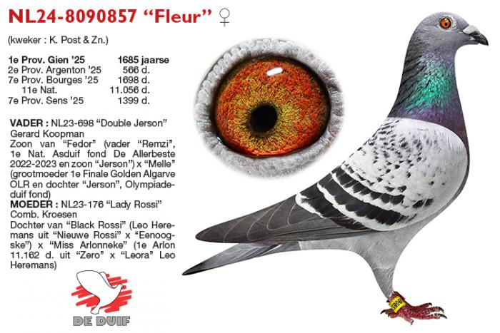 NL24-8090857 “Fleur” NL24-8090857 “Fleur”