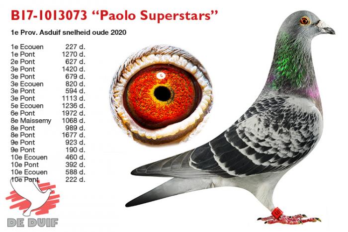 B17-1013073 “Paolo Superstars” B17-1013073 “Paolo Superstars”