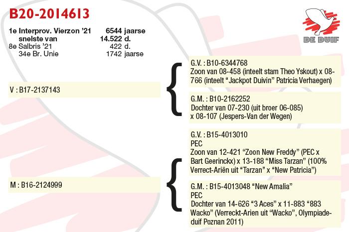 B20-2014613