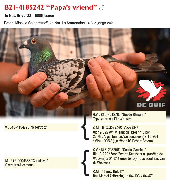 B21-4185242 “Papa’s vriend” B21-4185242 “Papa’s vriend”