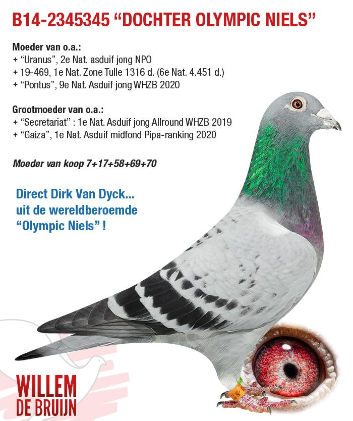 B14-2345345 “DOCHTER OLYMPIC NIELS” B14-2345345 “DOCHTER OLYMPIC NIELS”