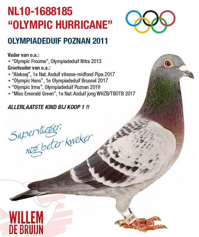 NL10-1688185 “OLYMPIC HURRICANE” NL10-1688185 “OLYMPIC HURRICANE”