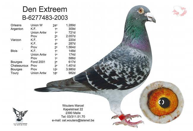 B03-6277483 “De Extreem” B03-6277483 “De Extreem”