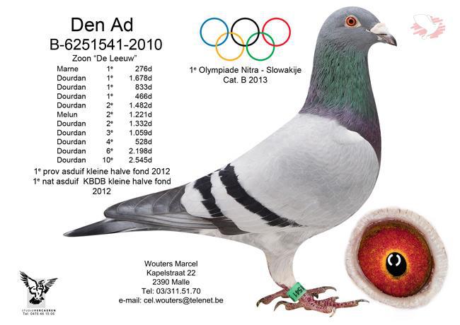 B10-6251541 "Den Ad" B10-6251541 "Den Ad"