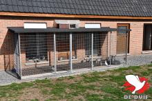 De knappe hokken in Beverlo.