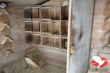 De binnenkant van het tuinhuis waar de jongen gehuisvest zijn, de schuifdeur is duidelijk zichtbaar op de foto.