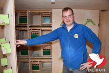 De woonbakken worden tijdens de week afgesloten en de duiven zitten op schabjes.