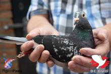 NL15-1673622 “Lucky”