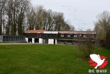 De hokken in Brussegem.