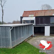De hokken van Erik Limbourg in Brussegem.