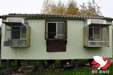 De hokken in Kester.