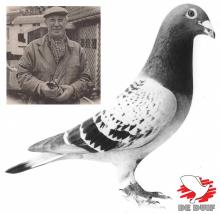 Maurits Voets met Lichte Bourges