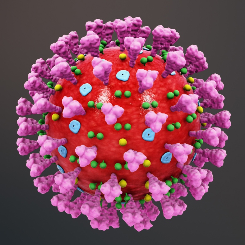 coronavirus.jpg