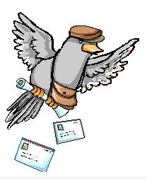 duifje-post.JPG