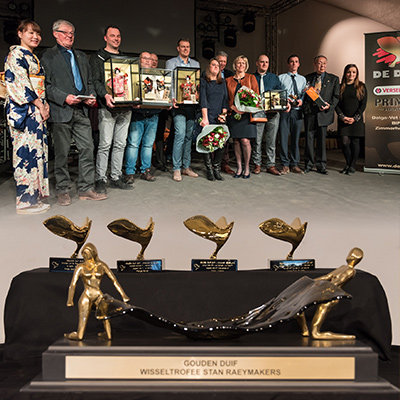 goudenduif2017.jpg
