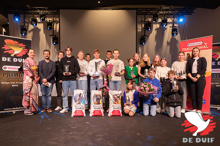 goudenduifjunior-1.jpg