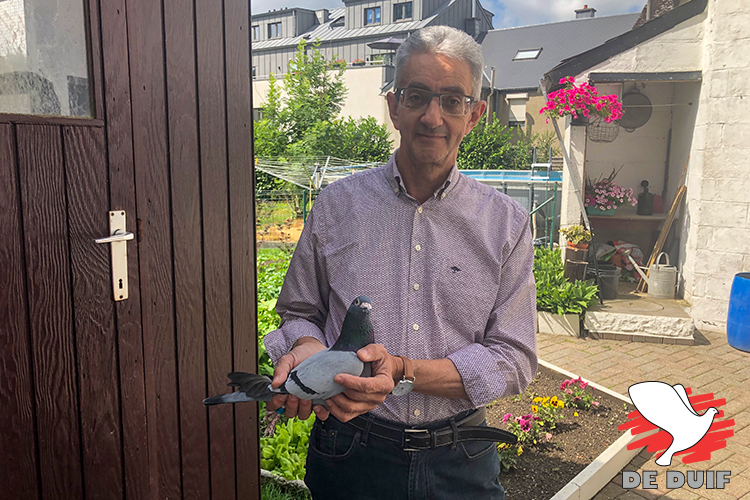 JEAN MARIE MARCHAL 1e Nat. PauBordeaux 3734 oude De Duif