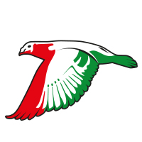olympiade-2015.jpg