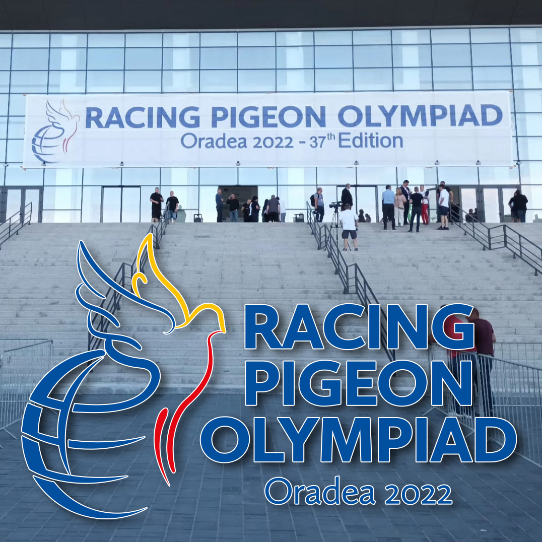 olympiade-oradea.jpg