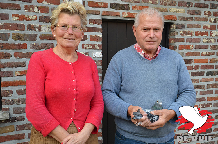vaernewyck-andre-2016-1.jpg