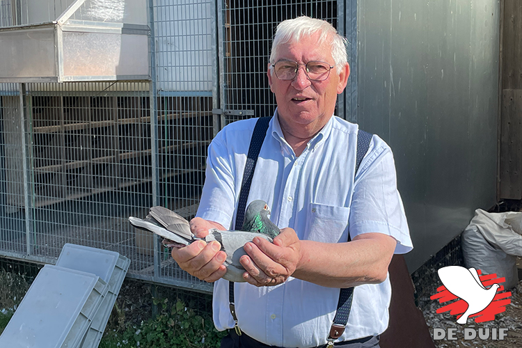vandemaele-wilfried-2022-1.jpg