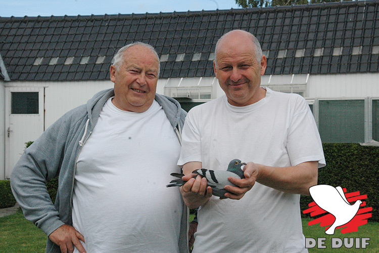 vandenheede-fr-j-2019-1.jpg