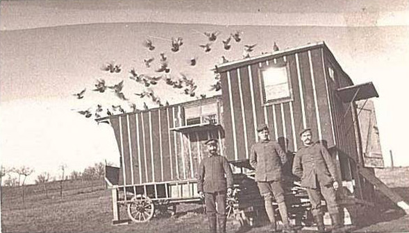 wo1-11-1.jpg