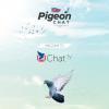 Pigeon Chat tv