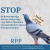 Racing Pigeon Partners petitie