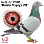NL24-8413207