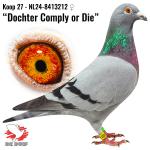 NL24-8413212