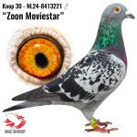 NL24-8413221