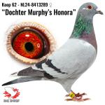 NL24-8413289 NL24-8413289