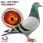 NL25-1348271