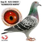 NL25-1348222